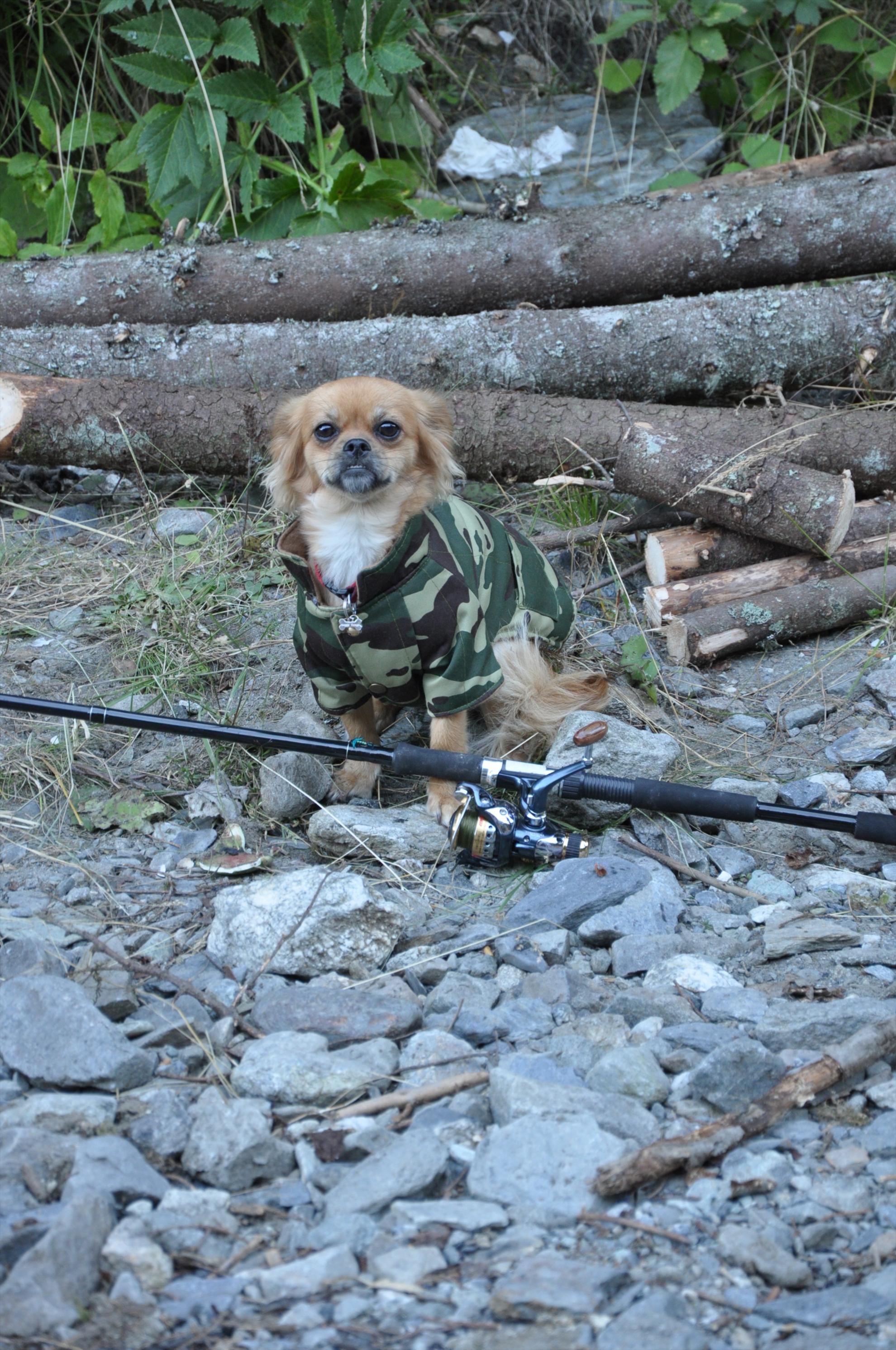  GREENFISH - dsc0098-2.JPG